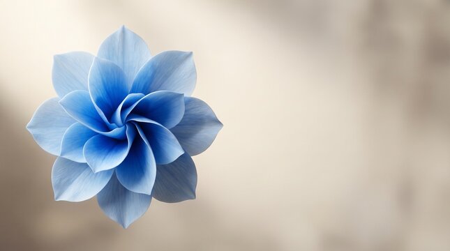 Symmetrical spiral blue flower rendered in 3d with soft studio lighting and copy space