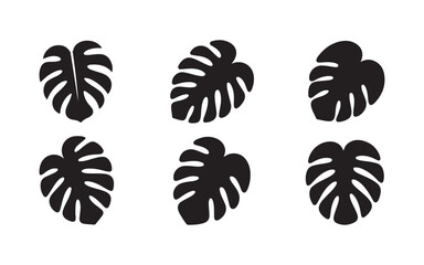 Obraz premium Monstera deliciosa tropical leaf silhouette collection in black flat design for botanical pattern elements.