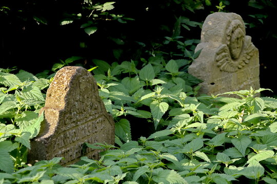 Historischer Friedhof St. Johann in Lemgo