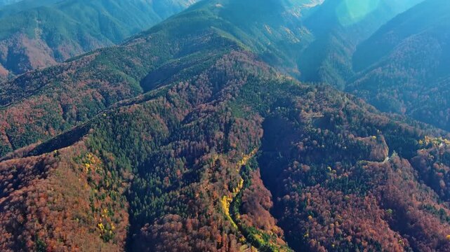 Aerial view of the Carpathian Mountains featuring dense autumn forests and rugged mountain ridges under a clear blue sky in Romania.