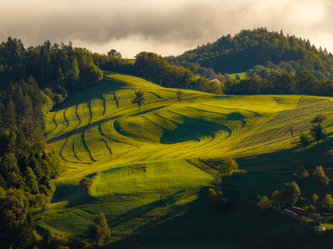 Aerial view of rolling green hills with terraced fields and lush forest under soft morning light in Spodnja Lusa, Skofja Loka, Slovenia.