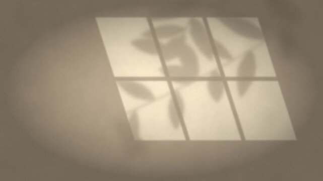 Window sunlight leaf shadows swaying on warm plaster wall seamless loop lifestyle background