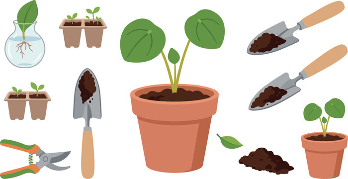 Houseplant Gardening And Propagation Vector Set With Potted Pilea Plant Trowel Soil Seedlings And Pruning Shears