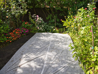Horticultural frost fleece laid over freshly sown grass seed to create an ideal germination environment. © Mike Hayward