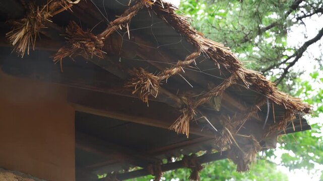 Traditional Jeju Thatched Roof Eaves and Straw Rope Details (제주 전통 초가집 처마와 짚줄 디테일 클로즈업)