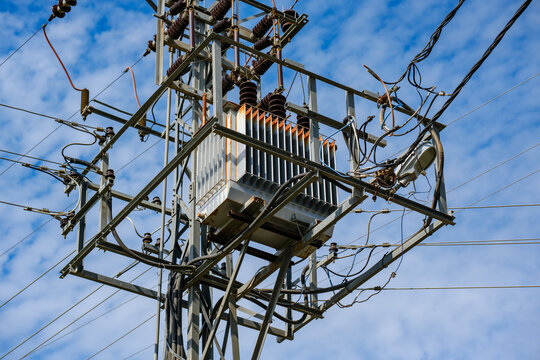 Electrical transformer and cable bundle on a utility pole