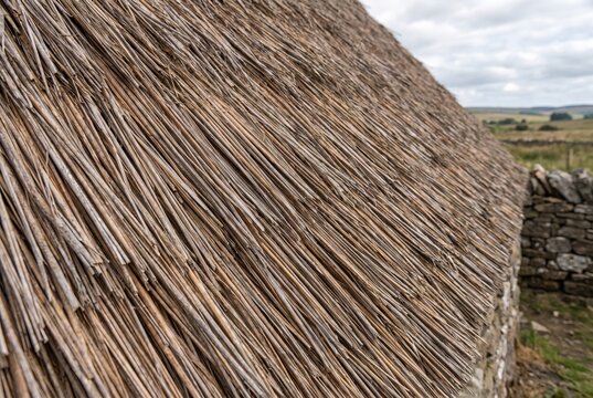 Close up view of thatched roof made of dried straw. Traditional thatched roofing texture on rural building