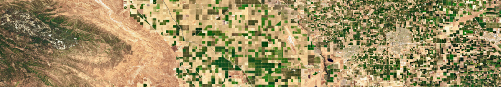 Geometric Agricultural Field Patterns in California Satellite Image