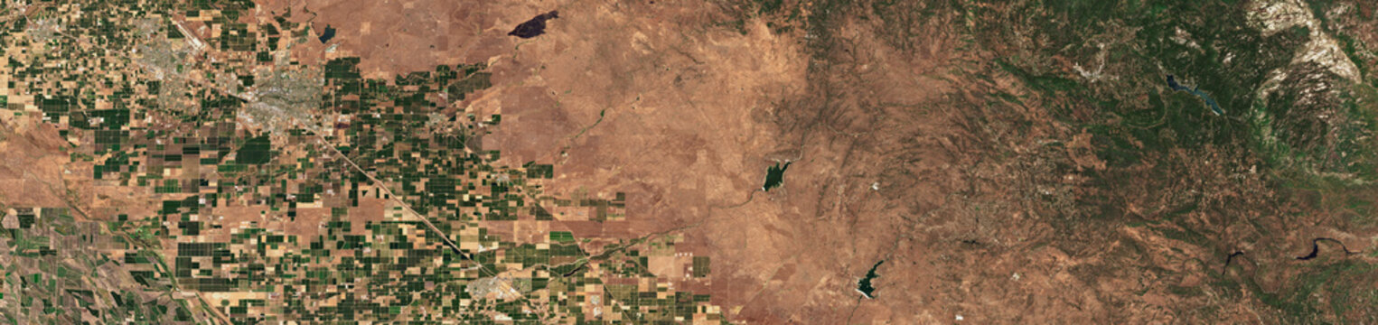 Agricultural Fields in California Satellite View