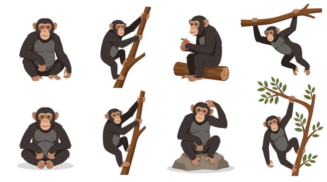 Set of cute cartoon chimpanzee characters in different poses and activities.