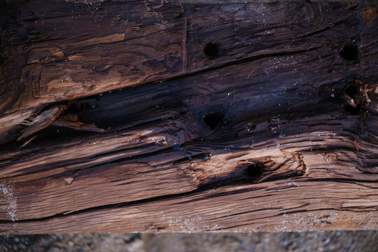 Dark weathered timber plank with drilled peg holes and deep natural fissures, aged driftwood board texture background with rustic grain