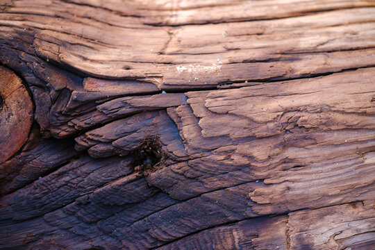Weathered rustic driftwood timber texture with deep cracks, natural wood grain details, and organic rough knot patterns