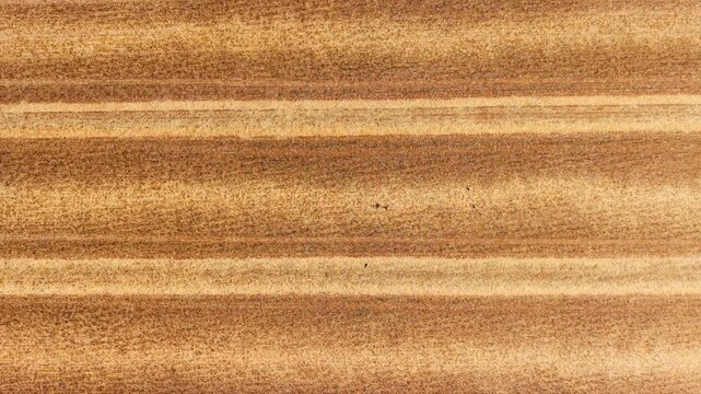 Farm field stubble pattern from drone. Harvested agricultural land with parallel crop rows creating natural geometric texture across farmland. Rural agriculture background for soil cultivation grain