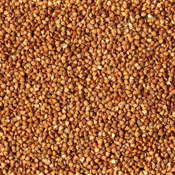 Raw roasted buckwheat groats texture background for healthy food design