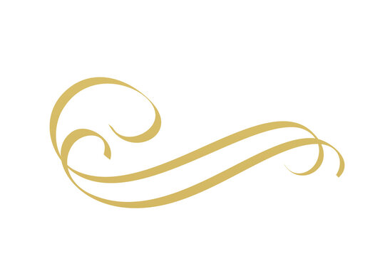 Golden swirl flourish isolated on transparent background, elegant calligraphic vector graphic element for wedding invitation design