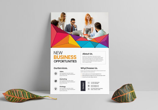 Abstract Colourful Business Flyer Templet