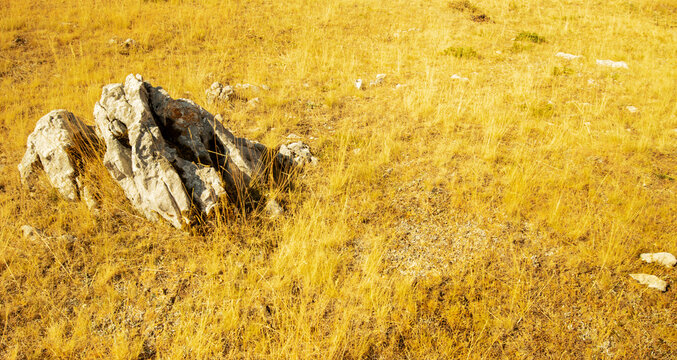 Rocky Karst Grassland with Dry Golden Vegetation in Bosnia and Herzegovina