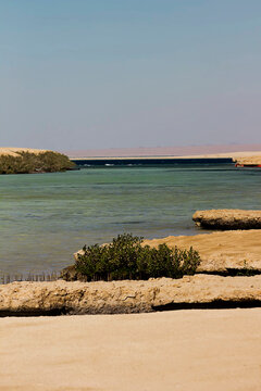 Mangrove Bay in Ras Mohamed National Park, Egypt.