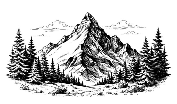 Snowy Alpine Mountain and Pine Forest Engraving