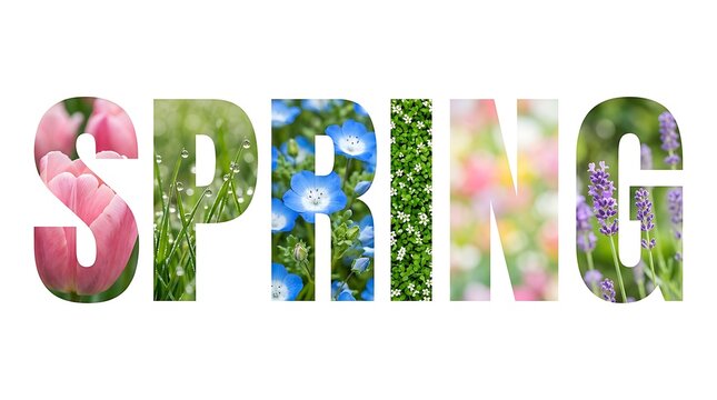 Decorative spring typography design featuring colorful floral patterns and fresh green garden nature elements