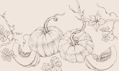 Fototapeta premium Background with pumpkin with flowers and leaves. Line art hand drawn illustration of botanical elements of farm and autumn. Fall and cozy seasonal designs