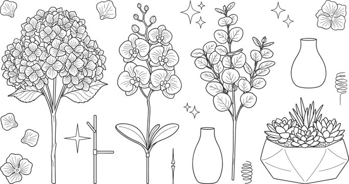 Botanical flower vector bundle with hydrangea orchid eucalyptus branch geometric succulent planter and vases line art illustration