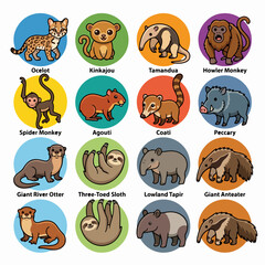 Obraz premium Set of cute cartoon South American jungle animal icons.