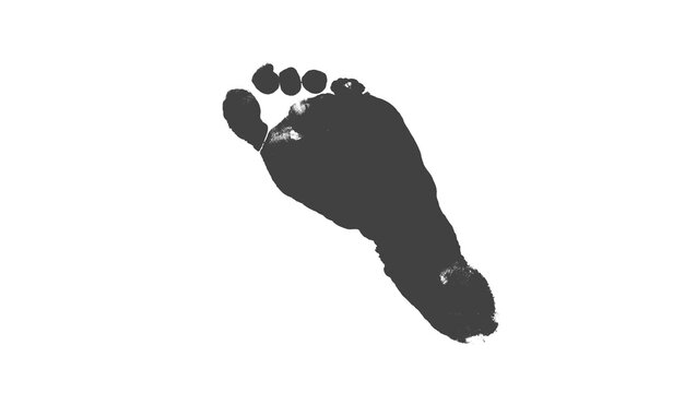 Bold human bare foot footprint illustration isolated on white, showing toes and sole shape for walking, anatomy, health, fitness and movement concepts, featuring footprint, footprint icon, foot, bare 