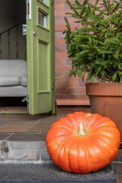 House entrance decorated with large pumpkin and potted spruce for cozy autumn season in daylight