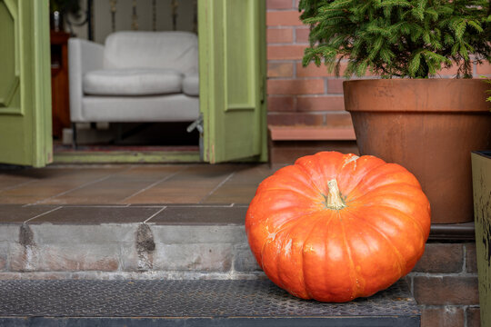 Large orange pumpkin by house entrance with open green door and young potted spruce in daylight