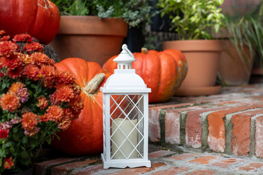 Autumn decoration with white lantern, pumpkins and orange flowers on brick steps in daylight