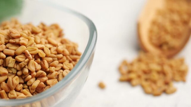 Close up shot of fenugreek seeds in transparent glass bowl on white background, traditional herbal remedy and spice for cooking and medicinal purposes.