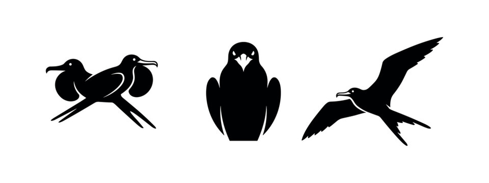 Frigatebird silhouettes, including male with gular sac. Tropical seabird icons in various flight poses.