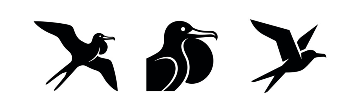 Frigatebird silhouette set with flying and gular sac display. Dynamic tropical seabird icons.
