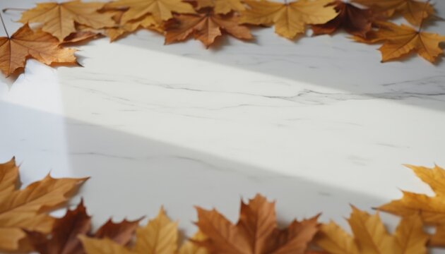 Elegant Autumn Golden Maple Leaves Border Banner on White Marble with Center Copy Space