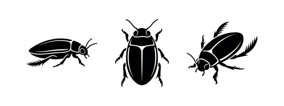 Diving beetle icon set. Predaceous water beetle symbol collection. Vector illustration.