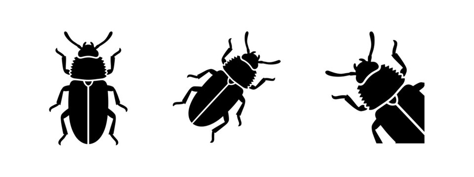 Darkling beetle icon set. Various darkling beetle silhouettes on white background.