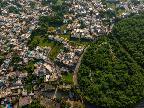 Aerial view of the residential rooftops, urban streets, and lush green forest bordering the city of Udaipur, Rajasthan, India.
