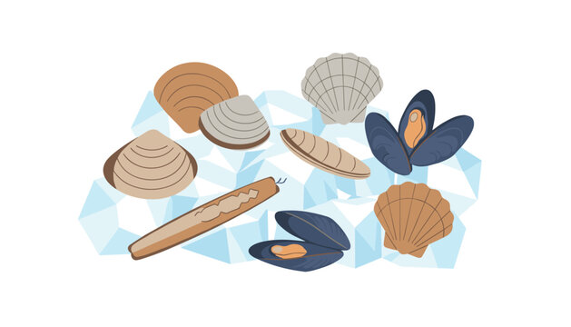 Fresh shellfish assortment including clams, mussels, scallops, and razor clams resting on crushed ice.