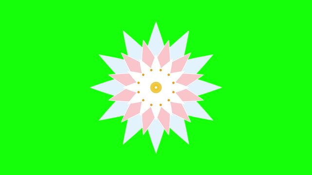 Blooming floral animation on green screen: colorful expanding geometric flower blooming flower blooming flower bloom