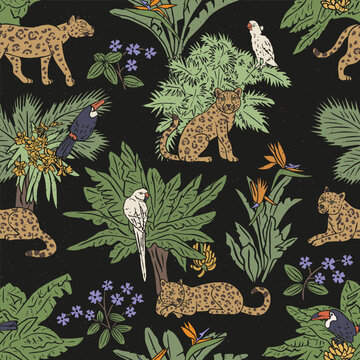 Vintage jaguars jungle seamless pattern. Hand drawn toucans and parrots on tropical palms. Exotic rainforest wildlife on textured black background