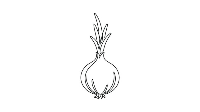 Minimalist continuous one line drawing of a fresh onion bulb with growing sprouts, simple black contour vector illustration of a healthy vegetable for culinary, kitchen and agricultural design.