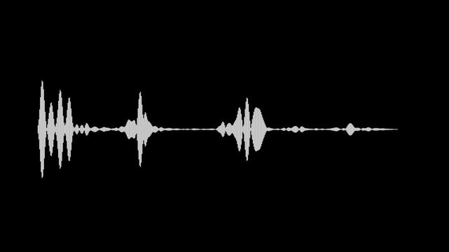 Detailed white audio waveform visualization showing varied amplitude peaks, rhythmic pulses, and frequency fluctuations across a minimalist black background.