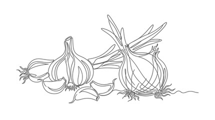 Fototapeta premium Continuous one line drawing of garlic and onion bulbs with cloves, minimalist flat vector illustration of healthy organic vegetables for kitchen decor and culinary design concepts.