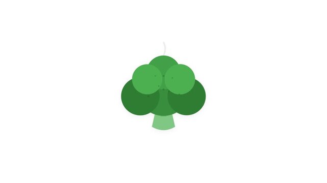 Healthy Green Broccoli Floret Icon with Organic Steaming Animation on White Background