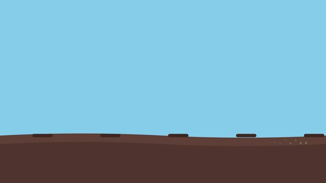 Sustainable Agriculture Cover Crop Growth Animation with Rye and Clover Improving Soil Quality