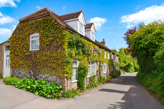 An ivy-clad stone cottage stands beside a narrow country lane in Kent, England. White windows, leafy hedges and garden plants frame a quiet rural home in a traditional roadside setting.