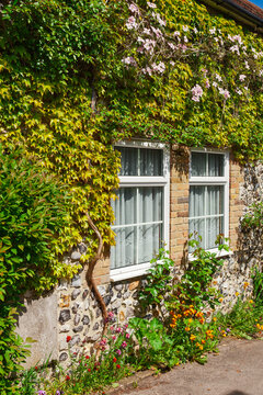Ivy surrounds white-framed windows on a weathered stone house beside a colorful garden in Kent, England. Climbing greenery and flowers give the rural facade a traditional village character.