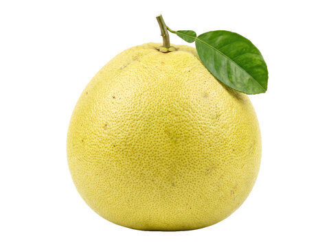 Fresh Pomelo Fruit With Green Leaf