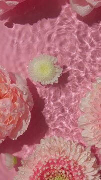 Vertical video of rose and gerbera flowers swim in water texture on pink background
